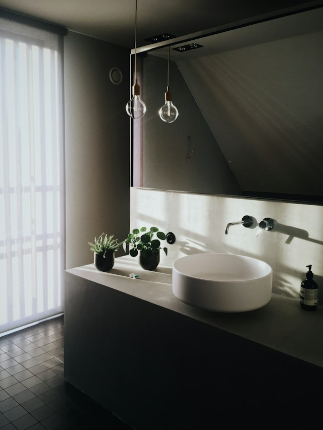Bathroom with a moody aesthetic