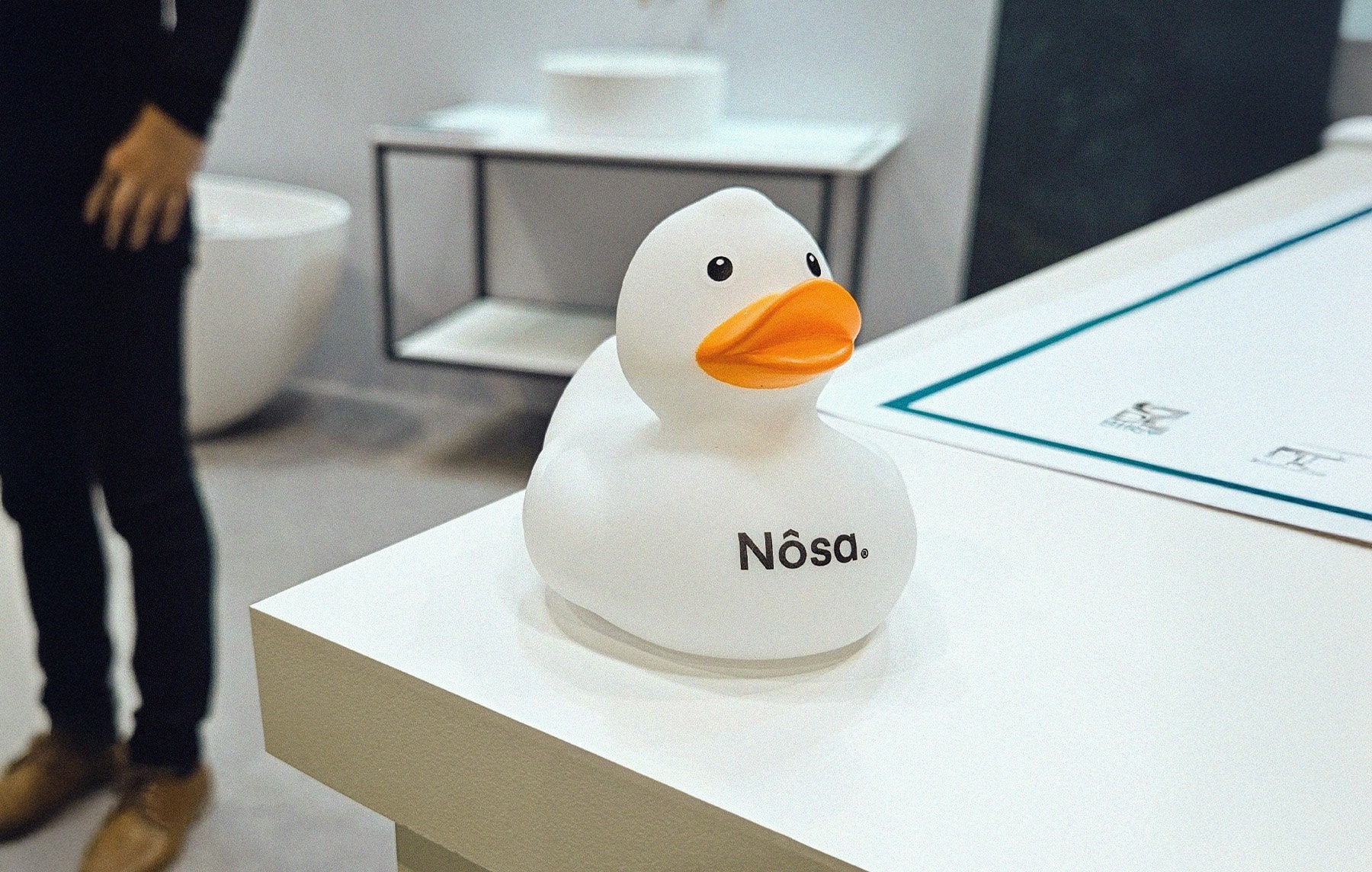 Nosa Duck