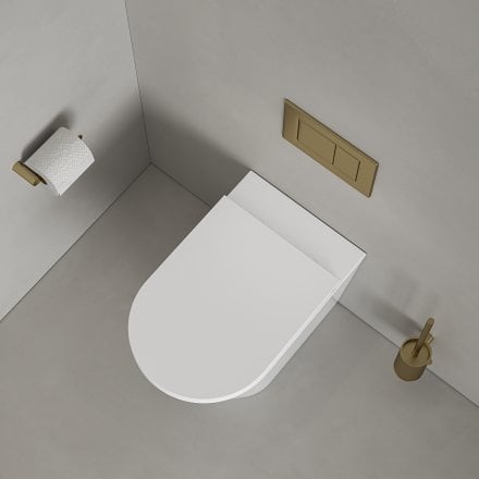 Faro Polished White Back To Wall Rimless Toilet with Concealed Cistern and Brushed Gold Flush Plate